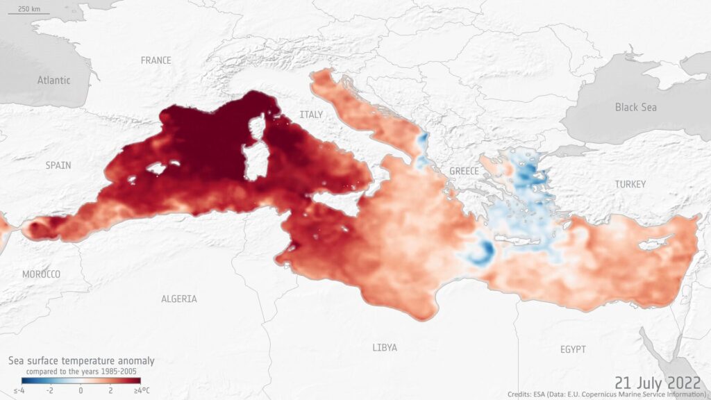 Why are the Mediterranean Sea increasingly warmer? The effects of climate change