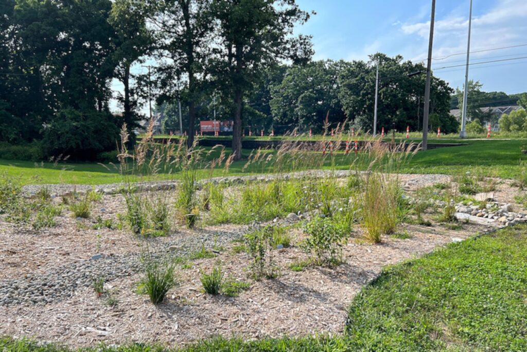 In face of climate change, Kalamazoo faith institutions replace lawns with native plantings