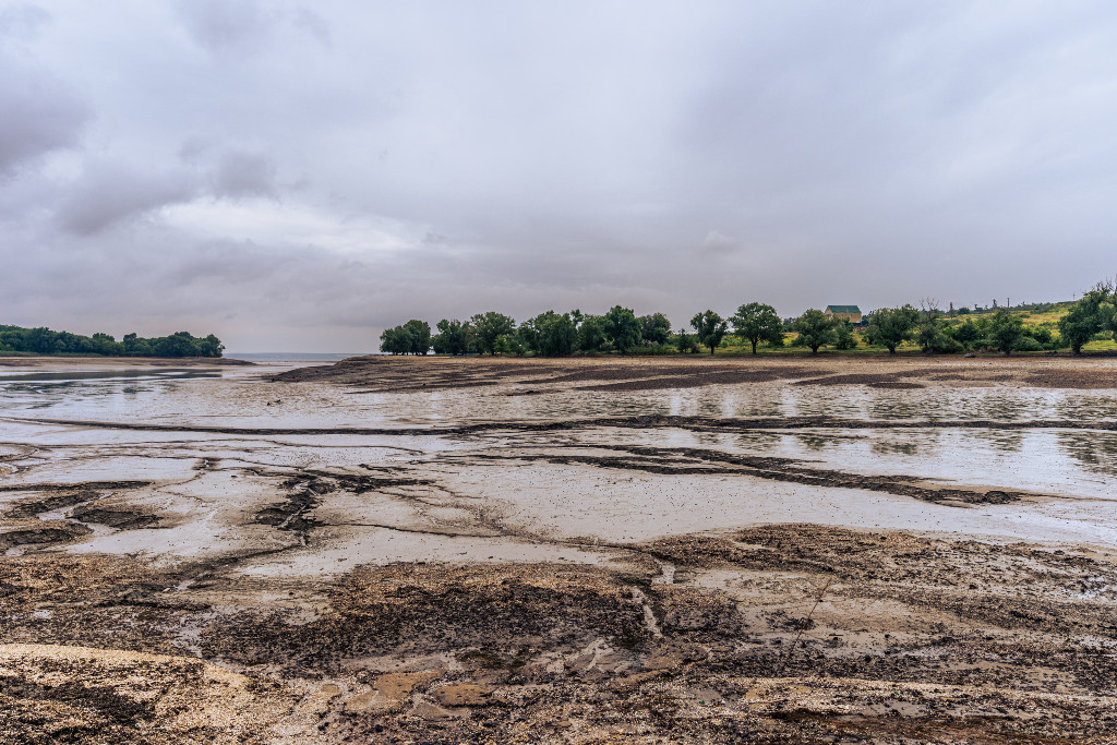 Why Criminalize Ecocide? Experts Weigh In