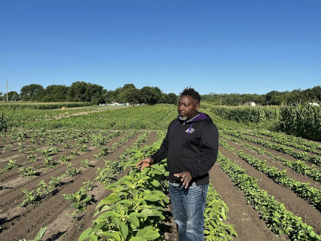 Small farmers need access to a safety net amid challenges of climate change