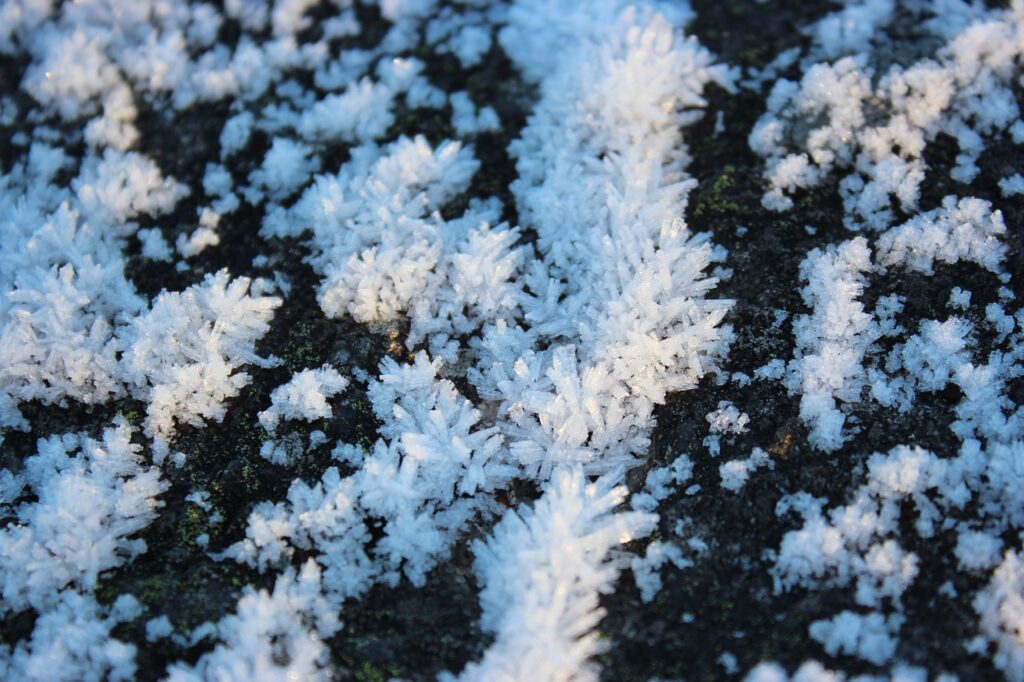 Permafrost thawing could increase wildfires in the Arctic and sub-arctic due to climate change