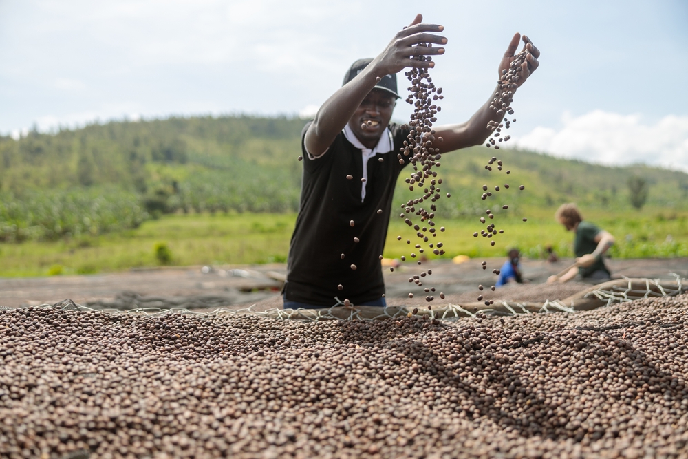 How climate change is making your groceries more expensive.