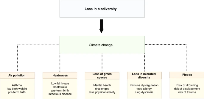 Impact of urban biodiversity and climate change on children’s health and well being