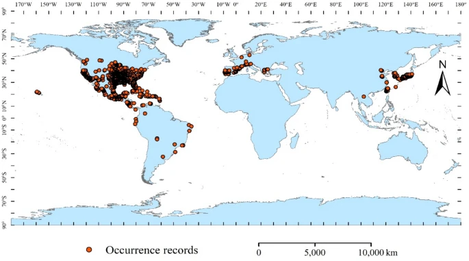 Estimating global geographical distribution and ecological niche dynamics of Ammannia coccinea under climate change based on Biomod2