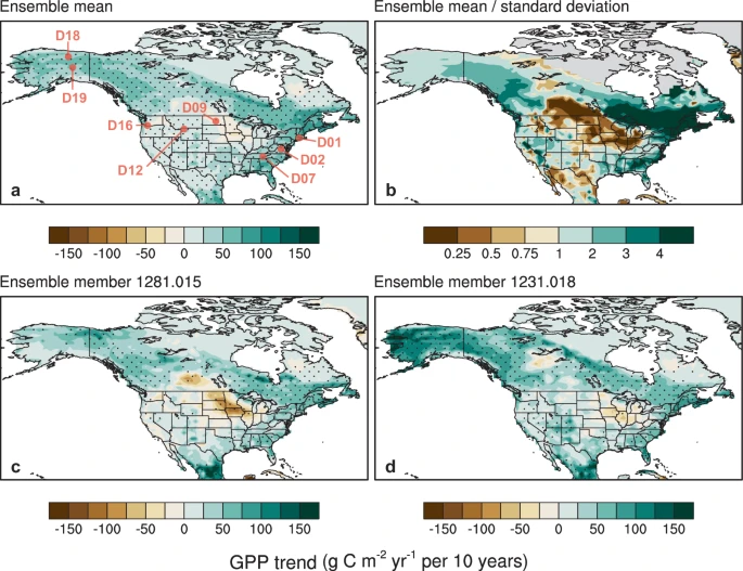 When is a trend meaningful? Insights to carbon cycle variability from an initial-condition large ensemble