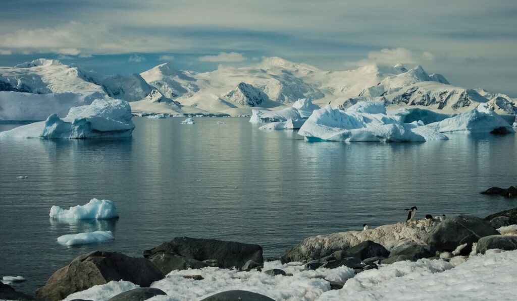 Only Feminism Can Prevent Global Warming