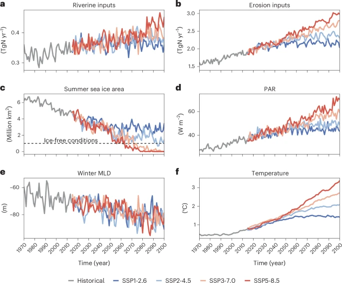 Climate change and terrigenous inputs decrease the efficiency of the future Arctic Ocean’s biological carbon pump