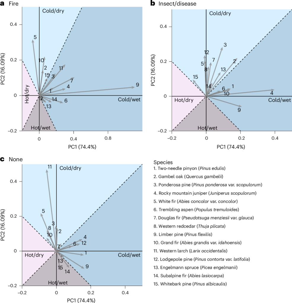 Trailing edge contractions common in interior western US trees under varying disturbances