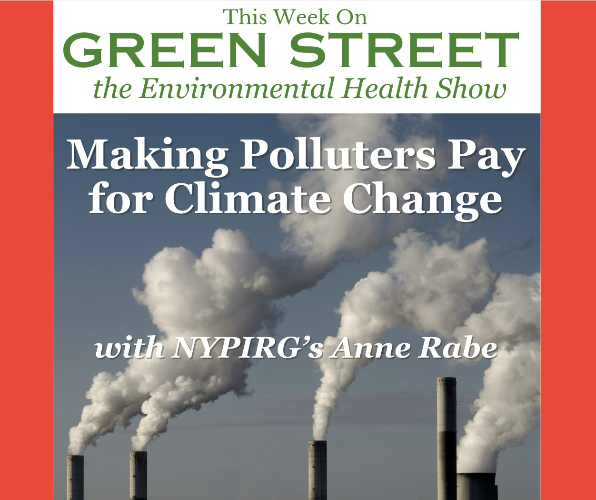 Making Polluters Pay for Climate Change – with Anne Rabe